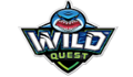  Wild quest 