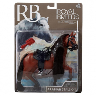 Royal Breeds Hest Araber Hingst