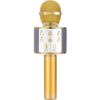 Den Originale VOICE Mikrofon - Guld